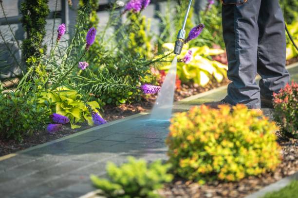Best Winterizing Services  in Deer Lodge, MT
